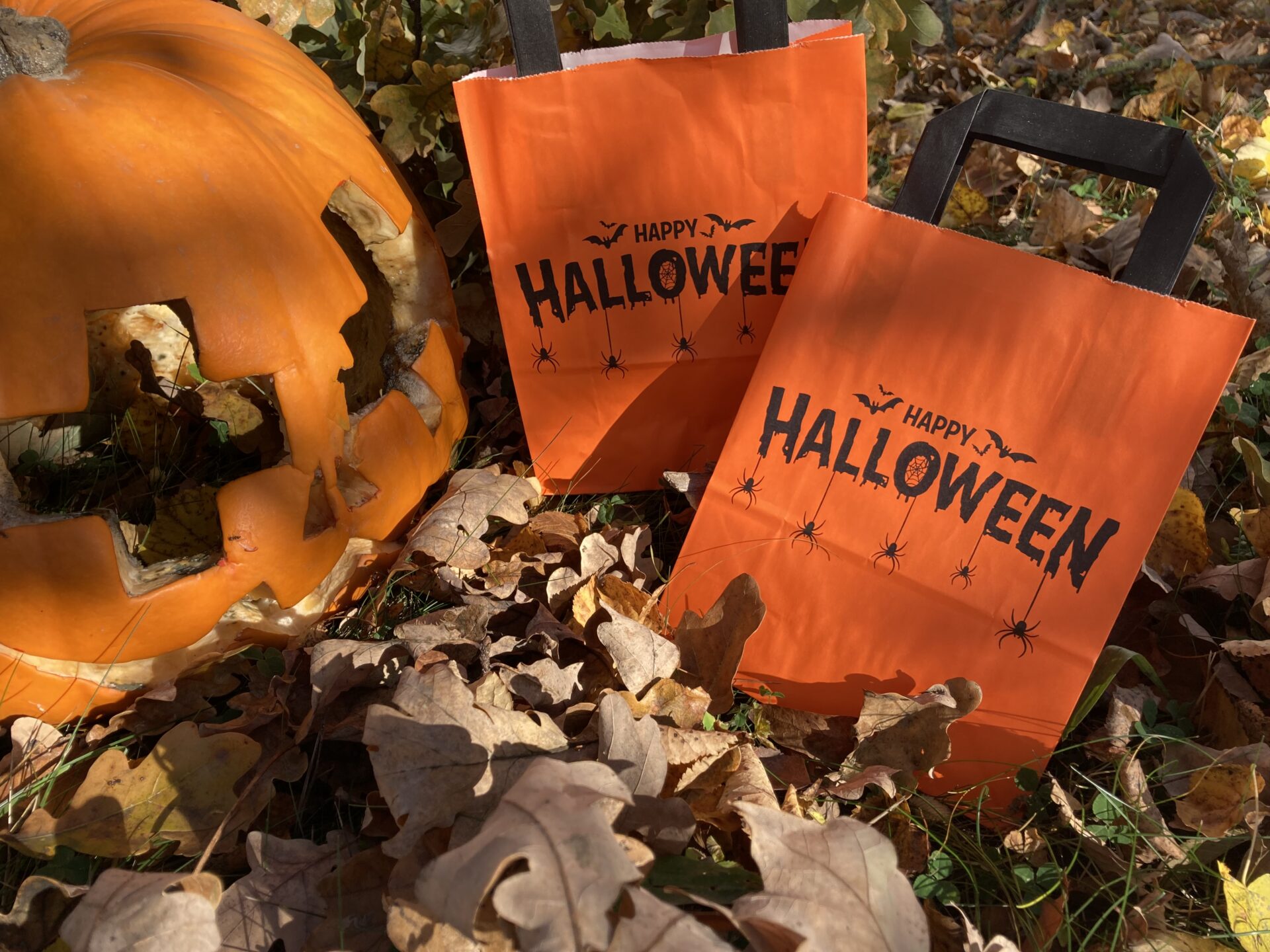 tausendtypentragetaschen - Halloween Tragetaschen aus Papier
